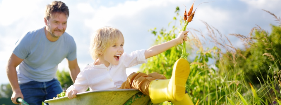Father and daughter playing with a wheelbarrow next to a crop field.