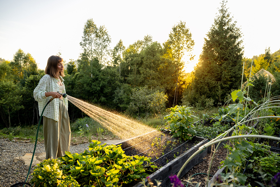 A woman standing in her garden, using a hose to water her plants