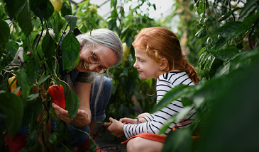 An older woman and young girl are tending to plants together and smiling
